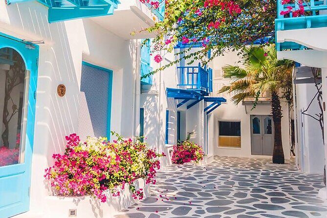 Private Day Trip Tunis Carthage Sidi Bou Said - Who Is This Tour Best For?