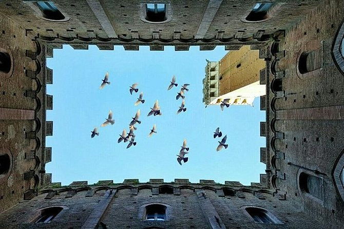 private-day-trip-tuscany-landscape-and-wine-tasting-from-florence-2