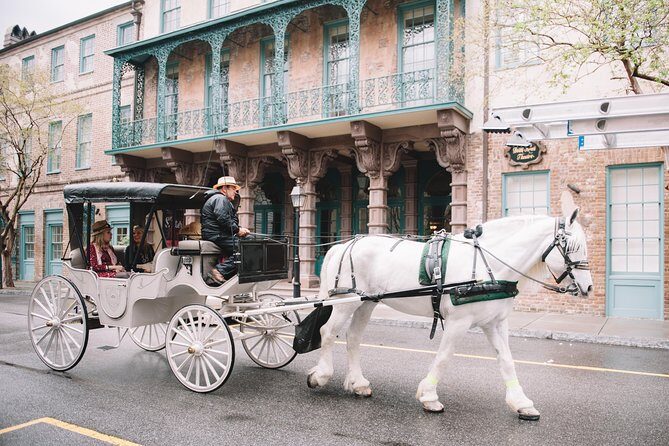 Private Daytime Horse-Drawn Carriage Tour of Charleston - Who Will Love This Experience?