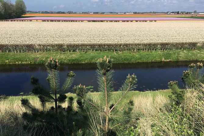 private-daytour-from-amsterdam-into-the-countryside