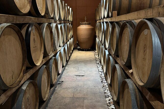 private-daytrip-for-truffle-mushroom-foraging-and-wine-tasting