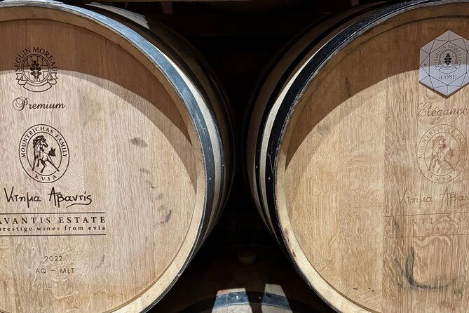 private-daytrip-for-truffle-mushroom-foraging-and-wine-tasting