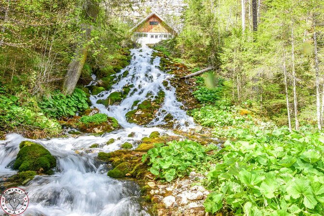 private-daytrip-hike-to-bucegi-mountains