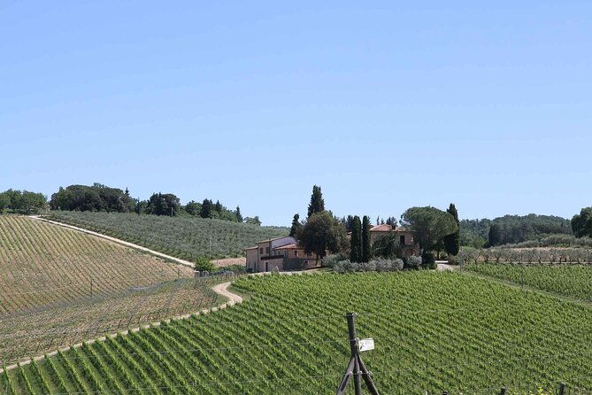 private-daytrip-to-siena-chianti-wine-country-with-wine-tasting-from-florence