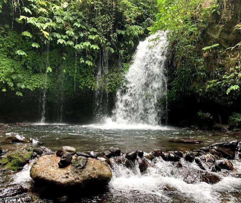 private-daytripjatiluwihpurification-ceremonywaterfalls