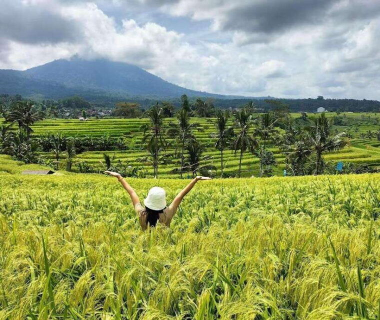 private-daytripjatiluwihpurification-ceremonywaterfalls