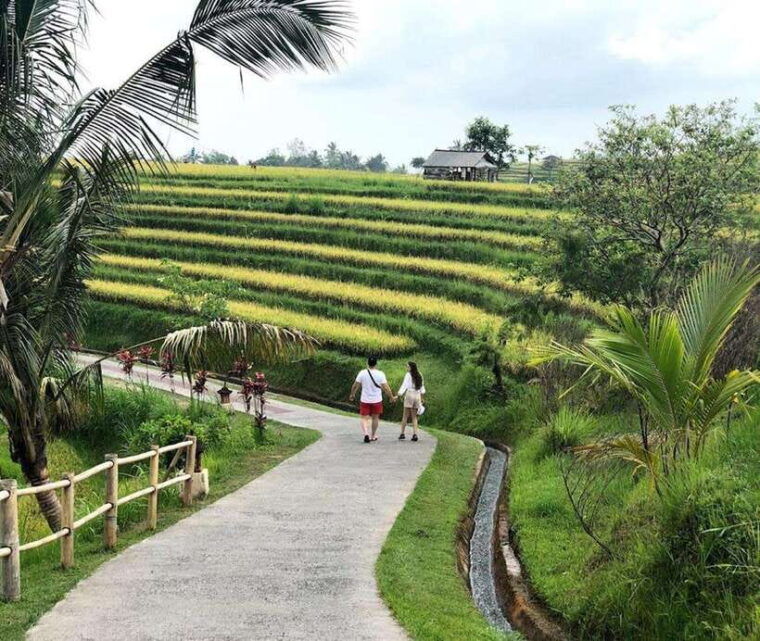 private-daytripjatiluwihpurification-ceremonywaterfalls