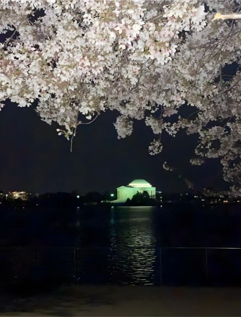 Private DC at Night Tour - Guides Make the Difference