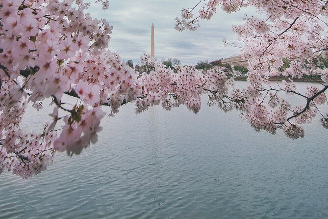 private-dc-guided-bus-tour-with-step-off-guide