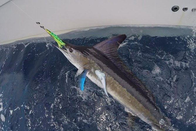 private-deep-sea-fishing-1-2-day-pm-charter-on-angler-management