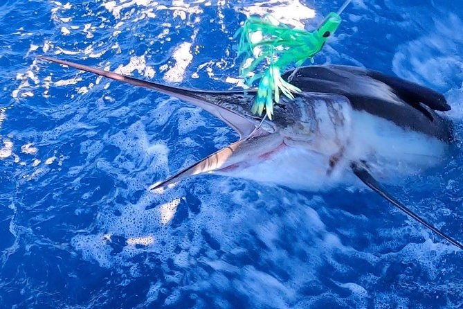 private-deep-sea-fishing-1-2-day-pm-charter-on-angler-management