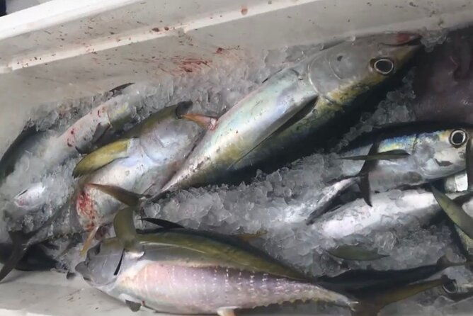 private-deep-sea-fishing-experience-in-grand-cayman