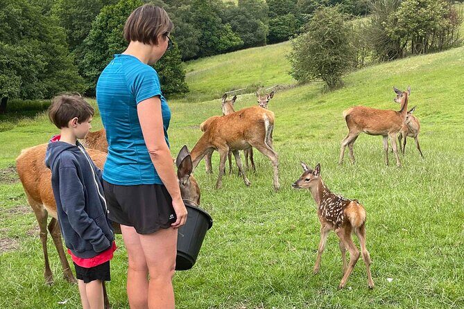 Private Deer Park Tour and Day Out in Leek - Who Would Love This Tour?