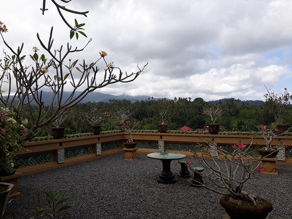 Private Denpasar City Tour Package - Understanding the Denpasar Experience: What to Expect