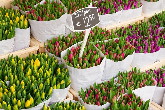 private-departure-transfer-from-amsterdam-to-schiphol-airport-ams