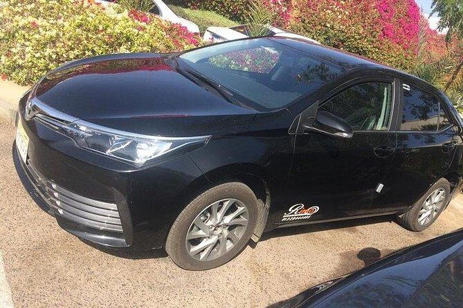Private Departure Transfer from Cairo City to Cairo Airport - Vehicle & Comfort