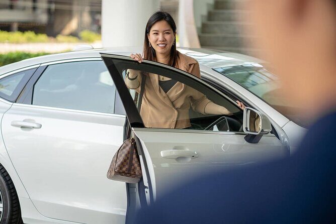 Private Departure Transfer: From Hotel in Hoian to Danang International Airport - Pickup and Meet Point