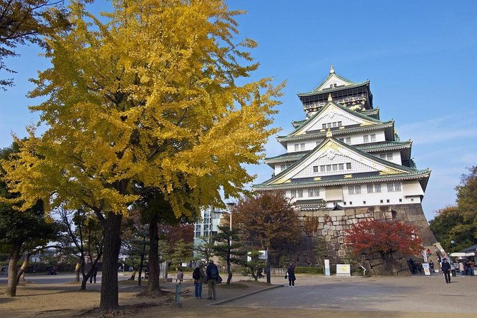private-departure-transfer-osaka-city-to-osaka-itami-airport