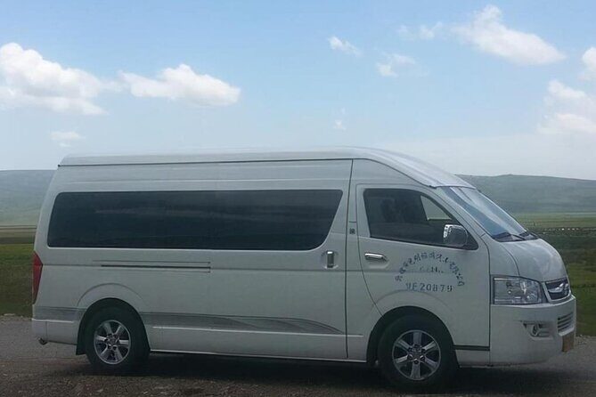 Private Departure Transfer to Harbin West Railway Station from Harbin City Hotel - Who is This Transfer Best For?