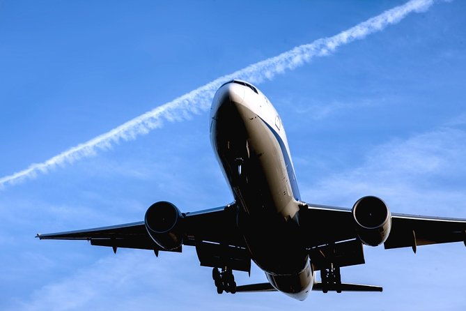 private-departure-transfer-tokyo-disney-resort-to-narita-international-airport