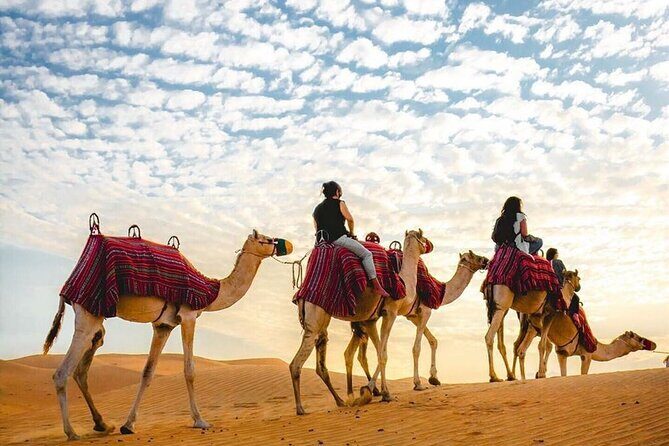 Private Desert Excursion with camel ride Sandboard & BBQ Dinner - Who Should Consider This Tour?