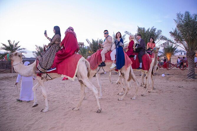 Private Desert Majlis Experience with Personal Butler Service - The Private Majlis: Your Oasis in the Desert