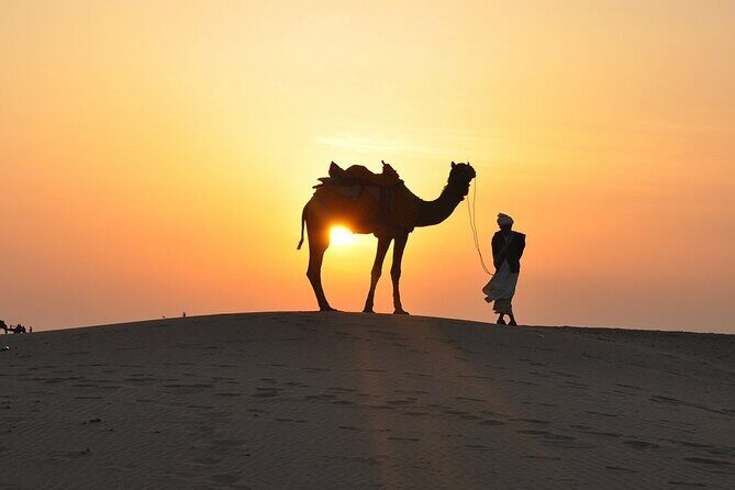 Private Desert Safari Dubai with BBQ Dinner and Belly Dance - The Feast: BBQ Dinner and Cultural Shows