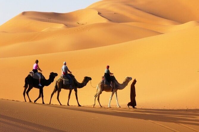 Private Desert Safari in Dubai with Pickup - An In-Depth Look at the Experience