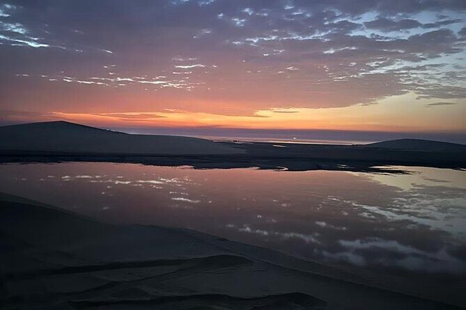 Private Desert Safari Tour 4 hours - What We Loved and What to Consider