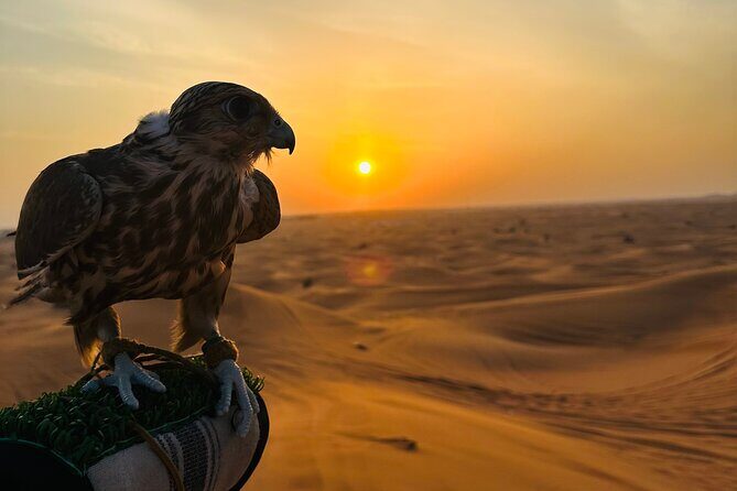 Private Desert Safari with ATV Quad Bike - Practical Considerations