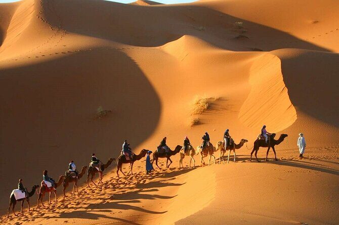 Private Desert Tour From Marrakech To Fes Via Desert Sahara - Food and Accommodation