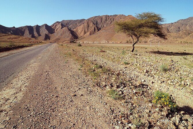 Private Desert Tour From Marrakech To Fes Via Desert Sahara - Who Is This Tour Best For?