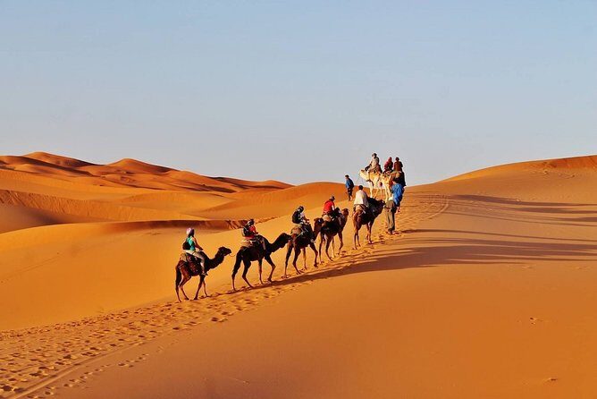 Private Desert Tour From Marrakech To Fes Via Desert Sahara - The Sum Up
