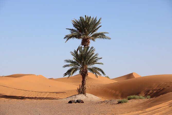 Private Desert Tour To Draa Valley And Zagora From Marrakech - Heading into the Draa Valley and Zagora