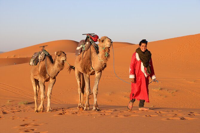 Private Desert Tour To Draa Valley And Zagora From Marrakech - Day Two: From Desert to Marrakech via Film Studios and Kasbahs