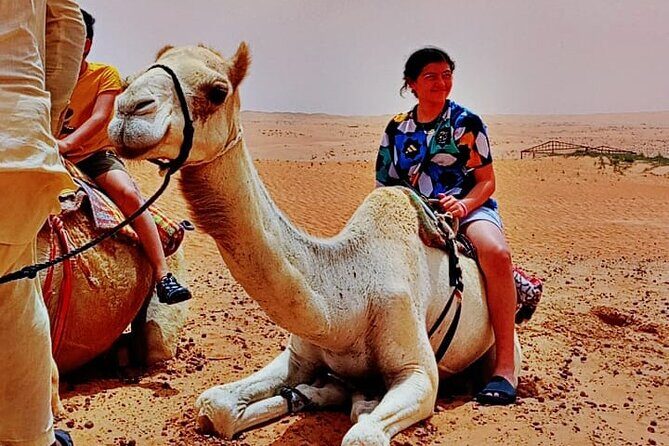 Private Desert Tour with Activities - Full Day - The Sum Up