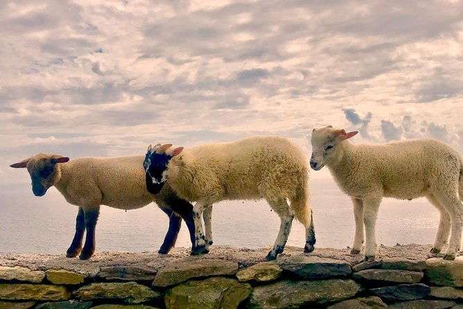 private-dingle-and-slea-head