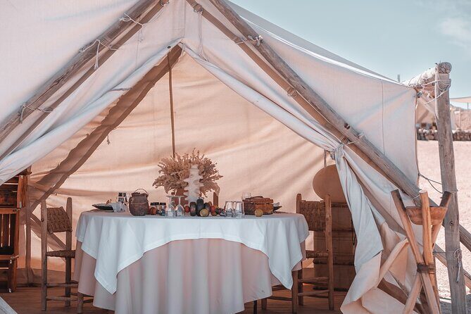 Private Dinner under the Stars & entertainment and Dromedary in Agafay - An In-Depth Look at the Experience