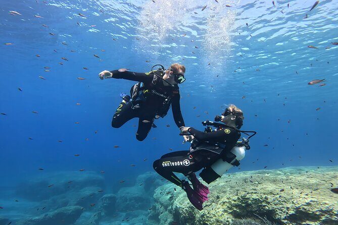 Private Discover Scuba Diving Experience in Messinia - What to Expect on Your Private Discover Scuba Tour