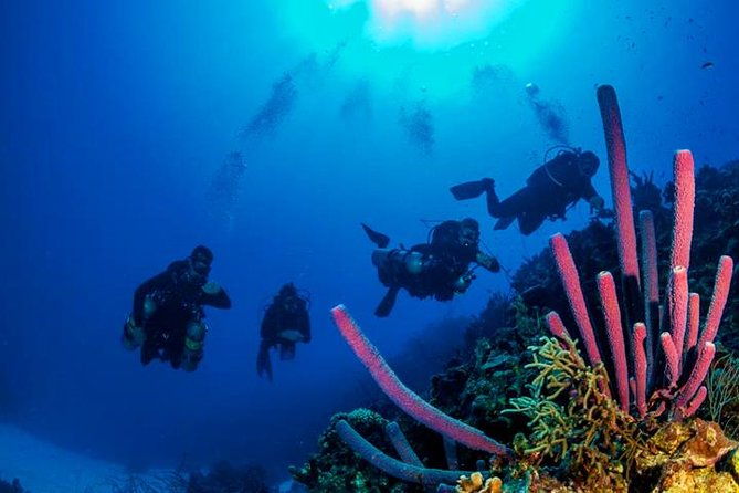 private-dive-master-1-tank-dive-transportation