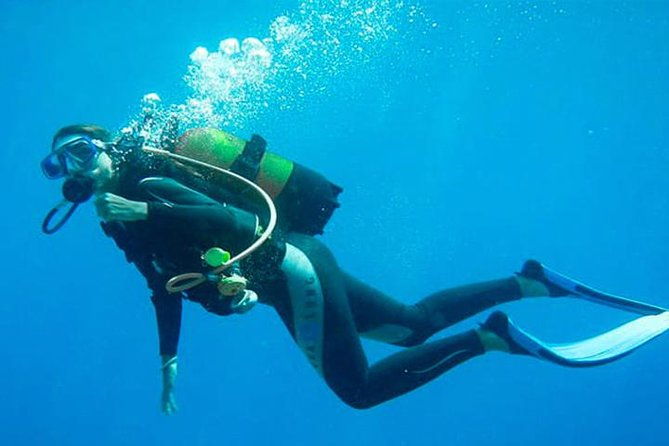 private-dive-master-1-tank-dive-transportation