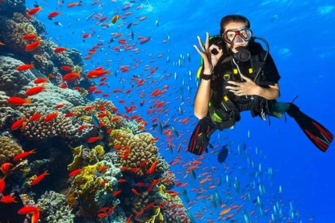 private-dive-master-1-tank-dive-transportation