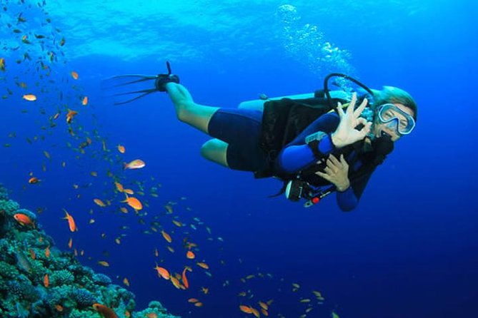 private-dive-master-1-tank-dive-transportation