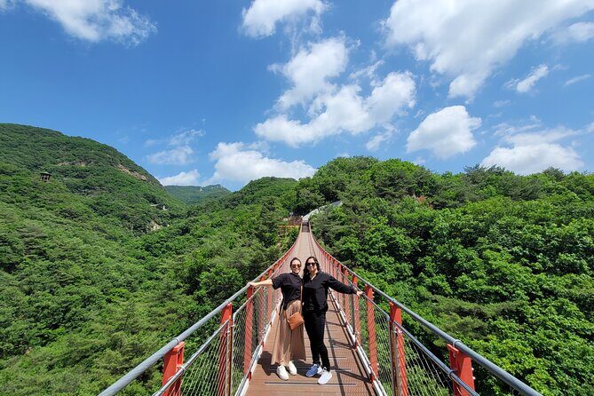 Private DMZ Tour and Suspension Bridge + Korean BBQ - Introducing the Private DMZ Tour with Suspension Bridge and Korean BBQ