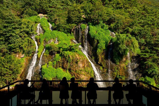 Private DMZ Tour from Seoul with a Local Healing Stop - Exploring the Private DMZ Tour from Seoul with a Local Healing Stop