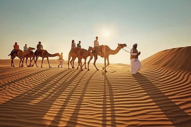 Private Doha Desert Safari and Inland Sea Tour, Best adventures - An Overview of the Tour Experience