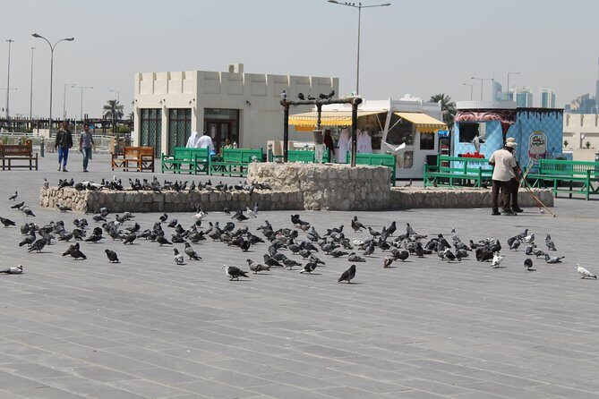 Private Doha Express Tour - Who Is This Tour Best For?