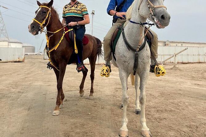 Private-Doha Horse Ride/Camel Ride/Quad Bike All Inclusive Tour - Authentic Insights from Travelers
