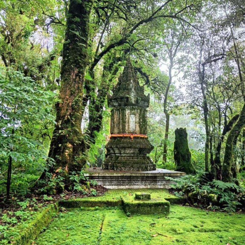 Private Doi Inthanon National Park Sightseeing Day Tour - A Deep Dive into the Doi Inthanon Experience