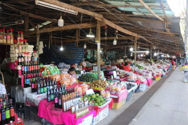 private-doi-inthanon-national-park-sightseeing-day-tour